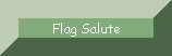 Flag salute